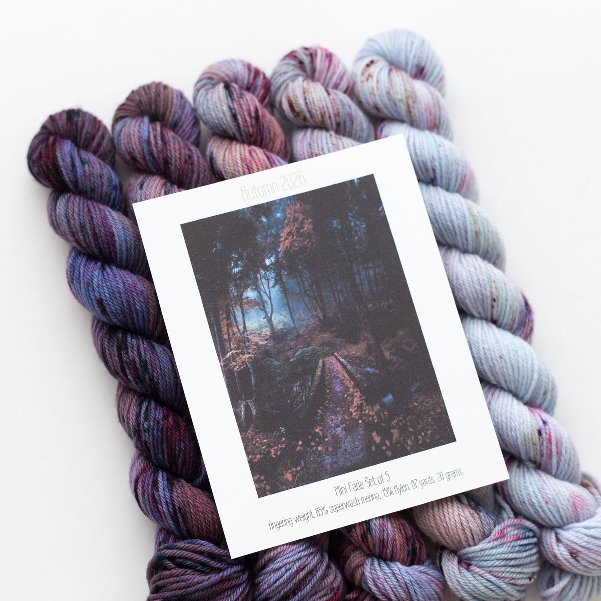Autumn Mini Fade Yarn Set