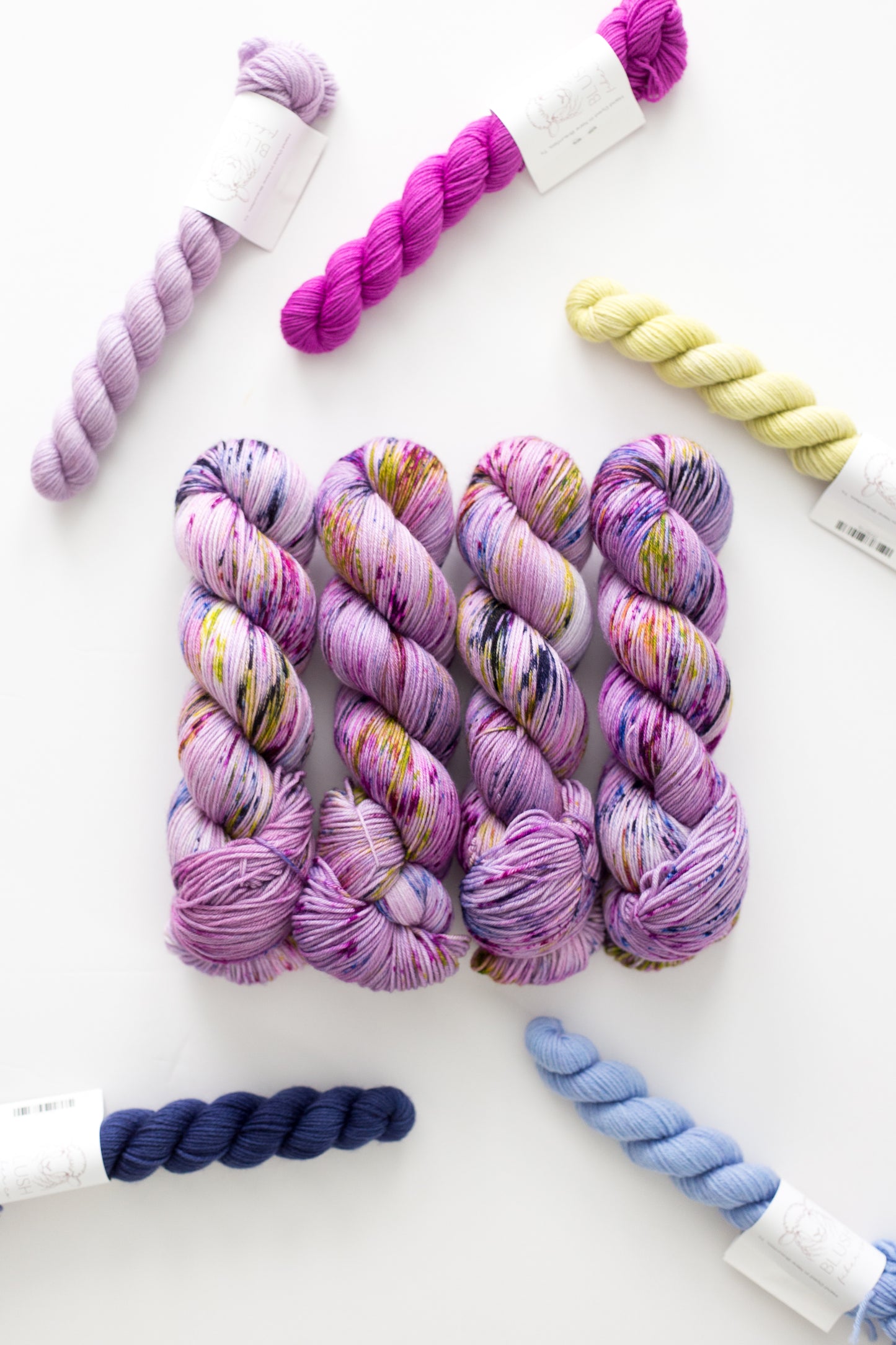 Painted Petals SW Merino Nylon
