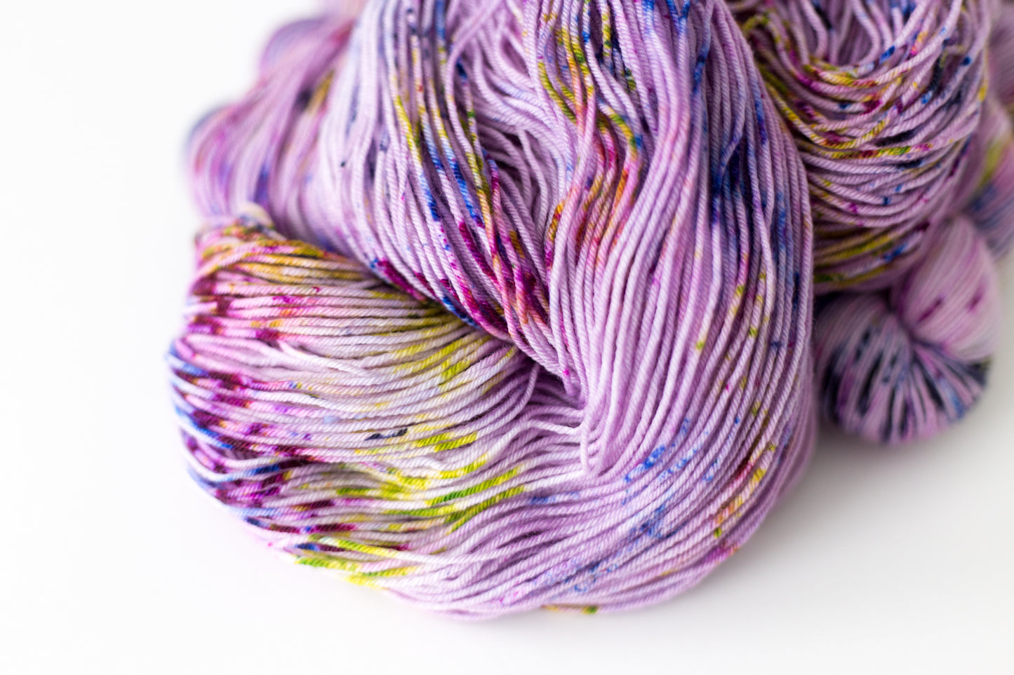 Painted Petals SW Merino Nylon
