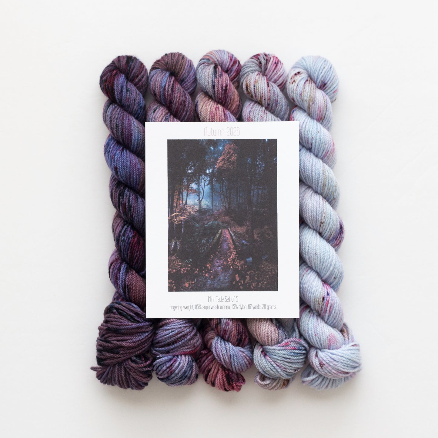 Autumn Mini Fade Yarn Set