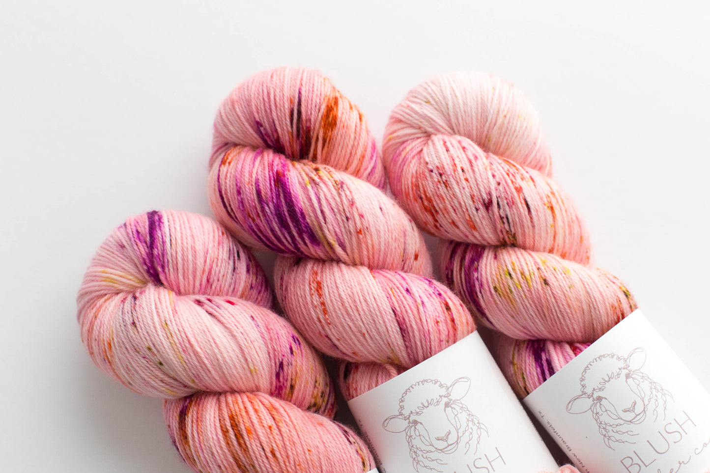 Cactus Flower SW Merino Nylon